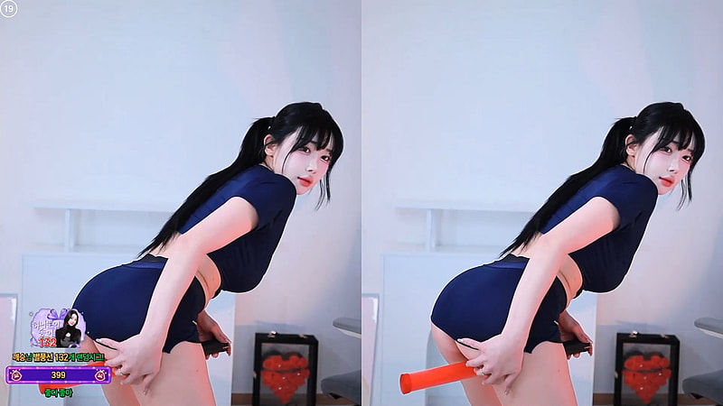 육덕 가슴 엉덩이 BJㅂㅁ송 코스프레 의상들