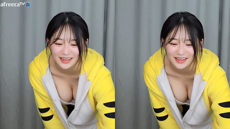 아프리카 시절 BJㅊㄹ이다 호랑이 인형옷