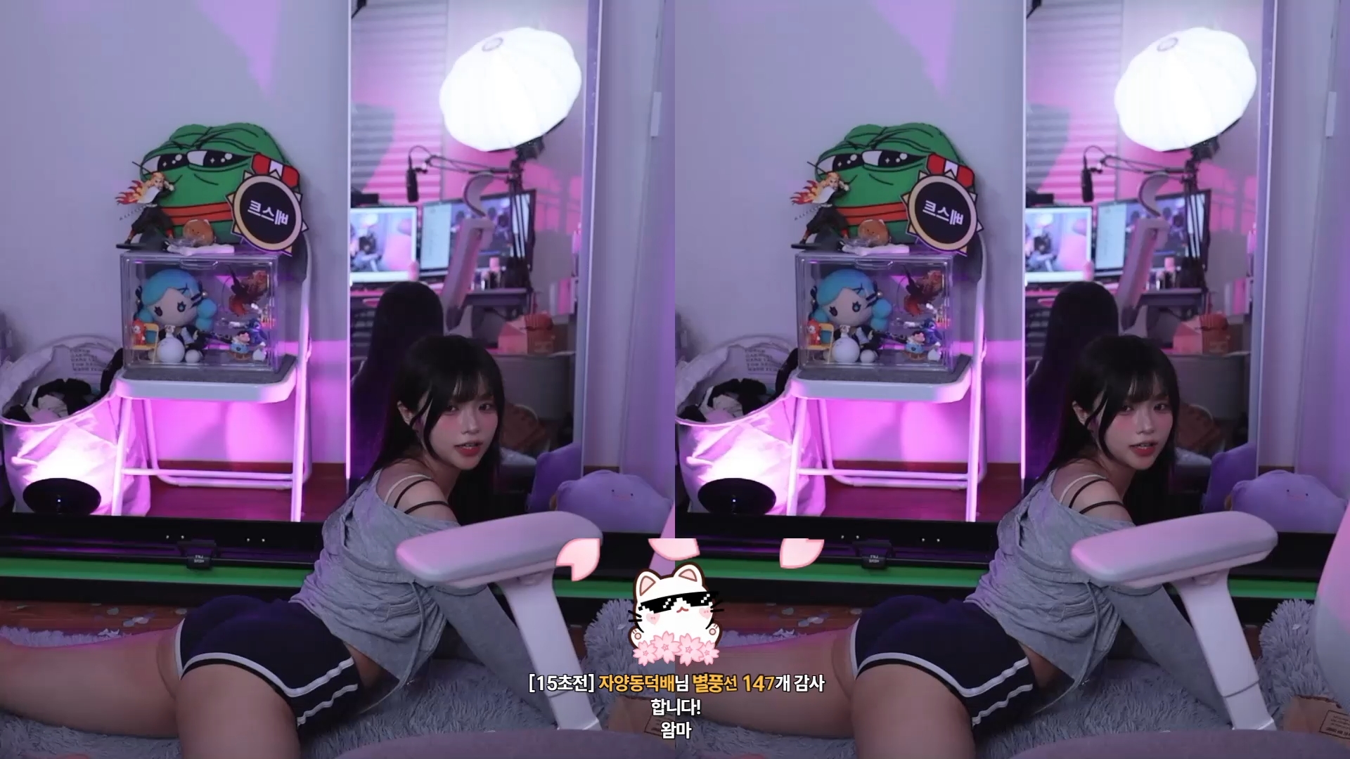 하체가 지리는 BJㅈ닌 방바닥 트월킹 리액션